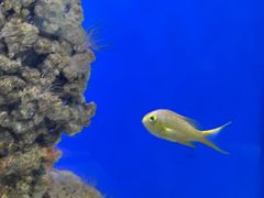 -海合安武汉极地海洋公园