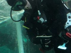 -悉尼海洋生物水族馆