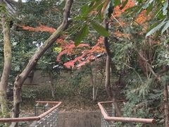 -杭州半山国家森林公园