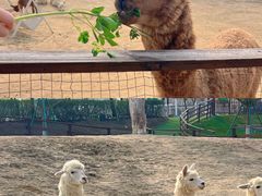 -盈香心动乐园