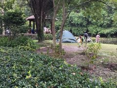 -共青国家森林公园-售票处