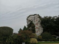 -贡湖湾湿地公园