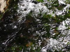 -水磨沟公园