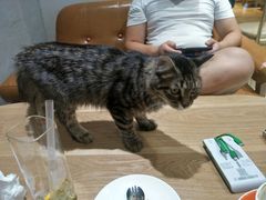 -藏猫猫咖啡主题馆(中央大道店)