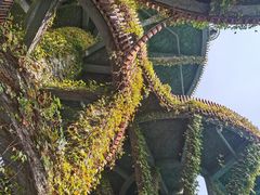 -芒洲湿地公园