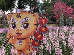 -仙岳公园