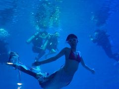 -烟台海昌鲸鲨海洋公园