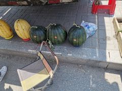 -蒲河大集