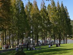 -东钱湖旅游度假区