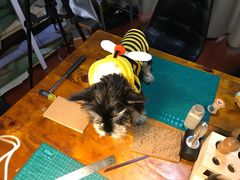 -零几体验diy皮具工作室(振业城店)