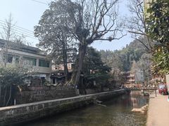 -雅安上里古镇