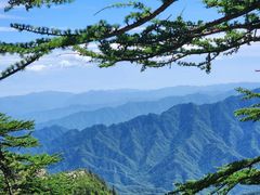 -朱雀国家森林公园