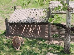 -西霞口神雕山野生动物世界