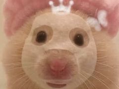 -逗葉茶事·新中式茶饮(创始店)