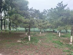 -太阳宫足球俱乐部