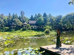 -四季酒店下午茶