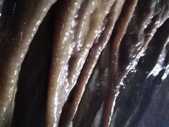 -兴隆溶洞