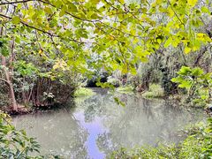 -同里国家湿地公园