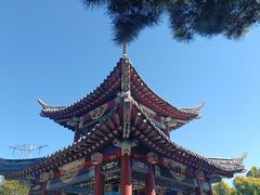 -黑龙江省森林植物园