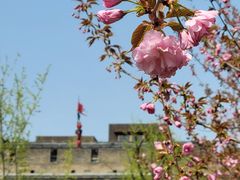 -西安城墙·碑林历史文化景区