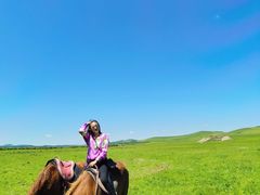 -塞罕坝国家级自然保护区