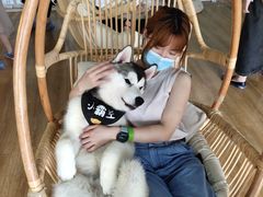 -Husky Go! 哈士奇体验馆·宠物咖啡厅狗咖