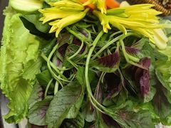 -原林野山菌火锅·炒菌(关上野生菌一条街店)