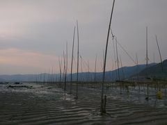 -北岐滩涂