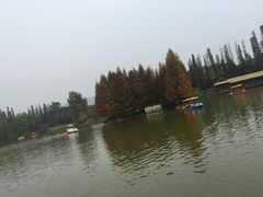-秀丽东方