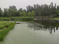-东郊湿地公园