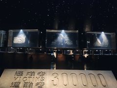 -侵华日军南京大屠杀遇难同胞纪念馆