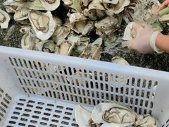 -蚝抵食·湛江生蚝(湾北路店)
