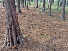 -艾溪湖湿地公园