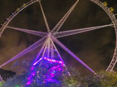 -锦江乐园舞狸花花游园会(夜场专享)