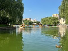 -团结湖公园