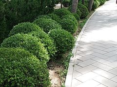 -元大都城垣遗址公园