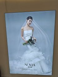 -金夫人婚纱摄影(总店)