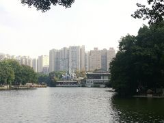 -荔湾湖公园