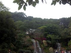 -广州市帽峰山景区