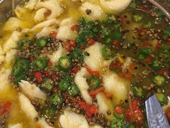 藤椒鱼-滋味成都