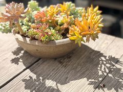 -翠田Green Field Kitchen