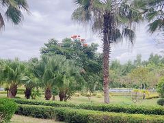 -金鸡岭桥头公园