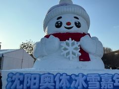 -沈阳奥体冰雪嘉年华