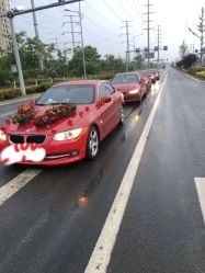 -蚂蚁婚车