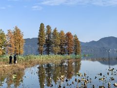 -四明湖