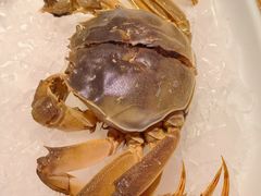-红盔甲·小龙虾(车公庙店)