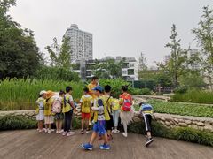 -活水公园