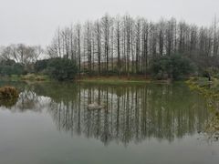 -新江湾城公园