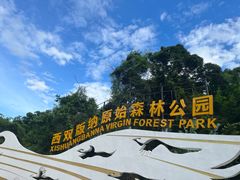 -西双版纳原始森林公园