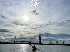 -芒洲湿地公园